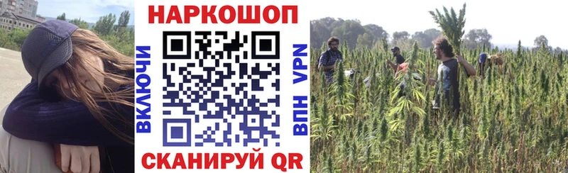 Где продают наркотики Тутаев Кокаин Кодеин МЕФ Псилоцибиновые грибы ГАШИШ A PVP Канабис