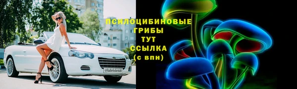 прущая мука Арсеньев