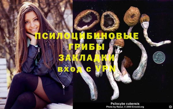 прущая мука Арсеньев