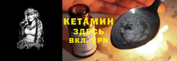 стаф Аркадак