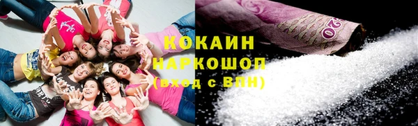 стаф Аркадак
