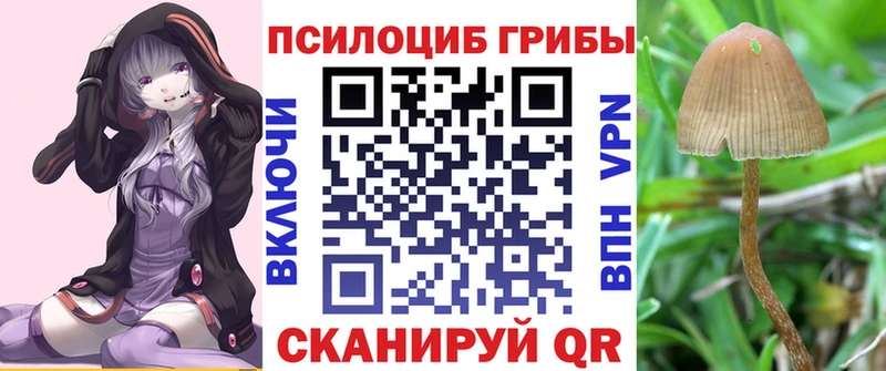Галлюциногенные грибы GOLDEN TEACHER Тутаев