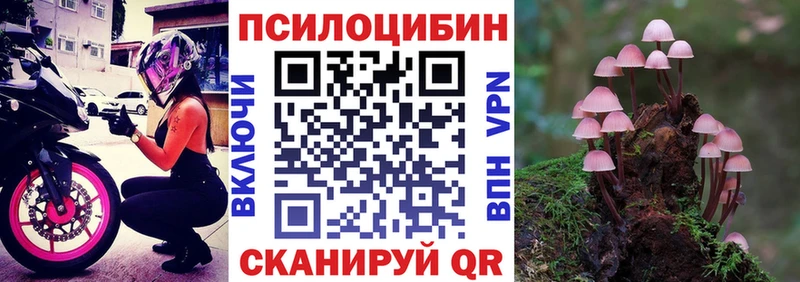 Псилоцибиновые грибы прущие грибы  Тутаев 